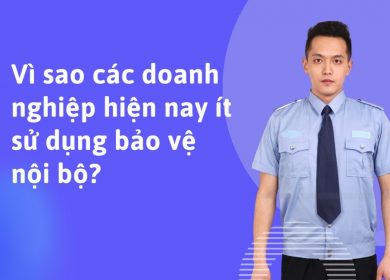 Vì sao các doanh nghiệp hiện nay ít sử dụng bảo vệ nội bộ?
