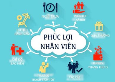 Cơ chế thưởng phạt đối với bảo vệ ở tại khu vực Nam Định