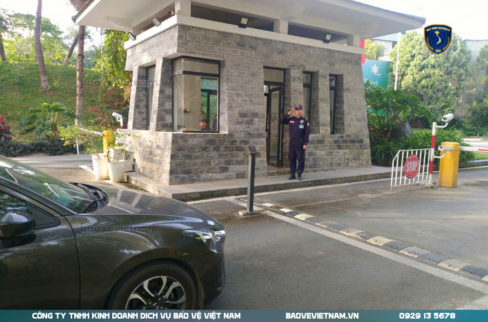 Thực hiện động tác chào điều lệnh thuc-hien-dong-tac-chao-dieu-lenh